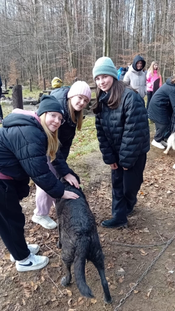 3e49439f-39c6-431f-b5a0-b7ec1715856c