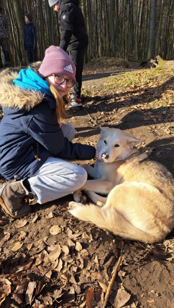 5893fab8-f299-49b3-9356-b33b3b935b52