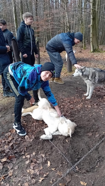 f6d23658-28d3-4f85-9789-e88d7db4973a