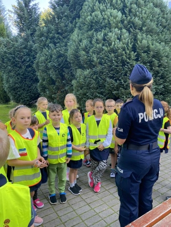 d3b3ed7a-b541-4918-9b4e-211cff7853fa