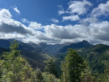 Zdjęcie WhatsApp 2025-09-21 o 15.28.29_9e2a2f40