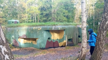 Zdjęcie WhatsApp 2025-10-15 o 20.47.22_bd49e32c