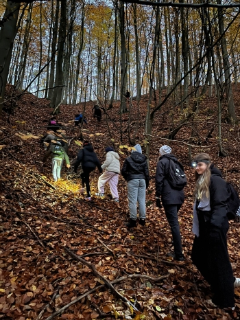 Zdjęcie WhatsApp 2025-10-30 o 19.30.49_448c77bc