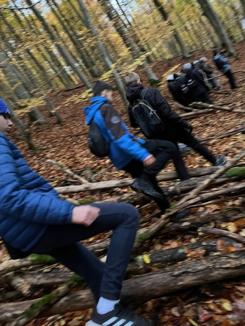 Zdjęcie WhatsApp 2025-10-30 o 19.30.50_8f9e51a8