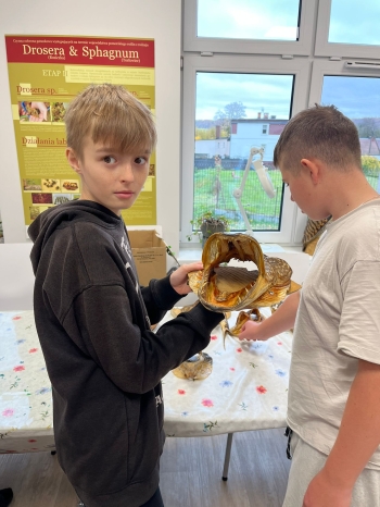 Zdjęcie WhatsApp 2025-10-30 o 19.30.50_acab3da4