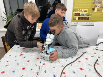 Zdjęcie WhatsApp 2025-10-30 o 19.30.51_6034e7fa