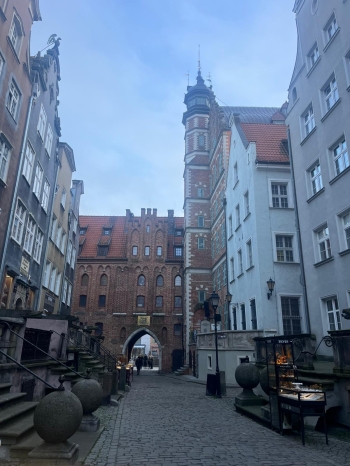 Zdjęcie WhatsApp 2025-11-27 o 12.10.30_942d998b