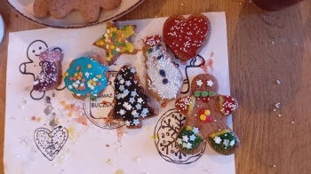 WhatsApp Image 2025-12-16 at 17.48.197.jpeg