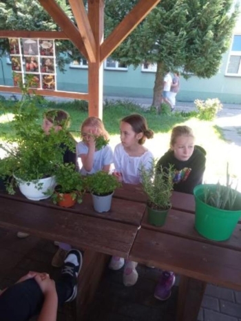 image000002 (6)